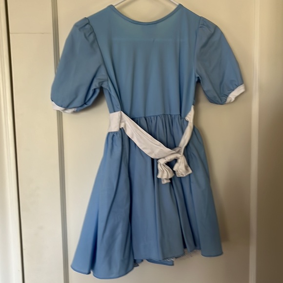 Vintage Disney Parks Alice in Wonderland Alice Dress, Size Medium. - Picture 6 of 6